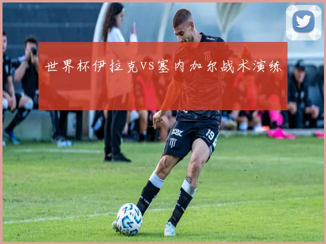 世界杯伊拉克vs塞内加尔战术演练