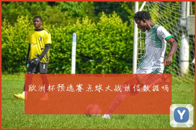欧洲杯预选赛点球大战该信数据吗