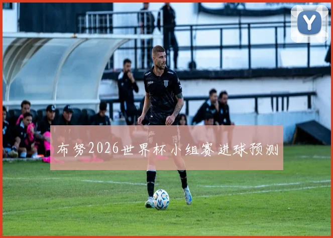 布努2026世界杯小组赛进球预测