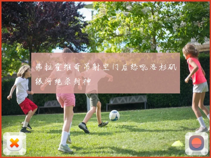 弗拉霍维奇吊射空门后怒吼洛杉矶银河绝杀封神