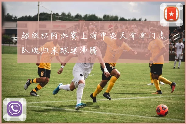超级杯附加赛上海申花天津津门虎队魂归来球迷沸腾