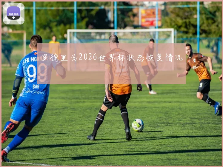 罗德里戈2026世界杯状态恢复情况