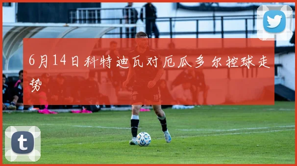 6月14日科特迪瓦对厄瓜多尔控球走势