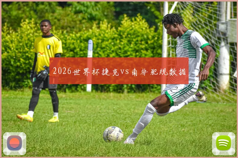 2026世界杯捷克vs南非犯规数据